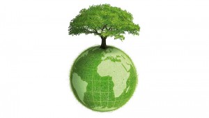 Planète terre végétale